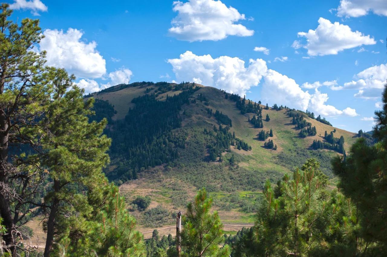 Huge Ruidoso Retreat With Game Room, Pool, 2 Balconies, 2 Kitchens - Sleeps 17! ภายนอก รูปภาพ